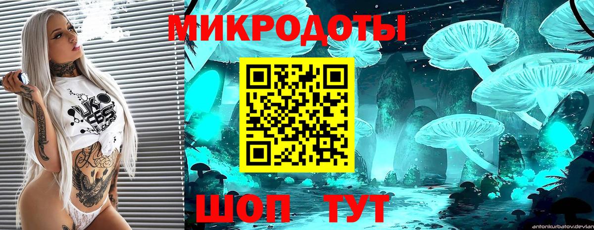 Галлюциногенные грибы Psilocybe  Вход с VPN  Саратов 