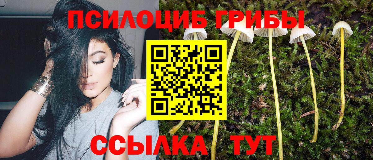 Псилоцибиновые грибы прущие грибы Саратов
